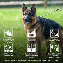 Dogtra® ARC800 FREE | Manos Libres