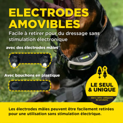 DOGTRA® 1200X (1900X) Versión EU