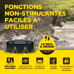 DOGTRA® 1200X (1900X) Versión EU