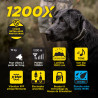 DOGTRA® 1200X 2 - Perros 1900X 2 (Versión EU)