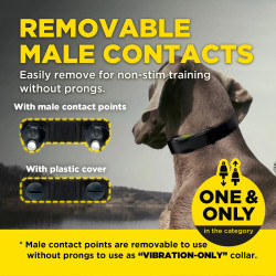 ARC-X Kit 1 - Un perro