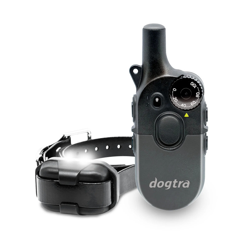 Dogtra® 600IQ - Kit 1 perro