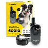 Dogtra® 600IQ - Kit 1 perro