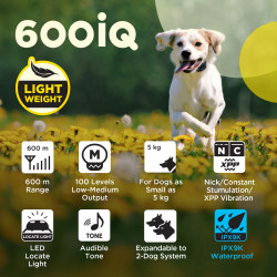 Dogtra® 600IQ - Kit 1 perro