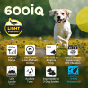 Dogtra® 600IQ - Kit 2 perros