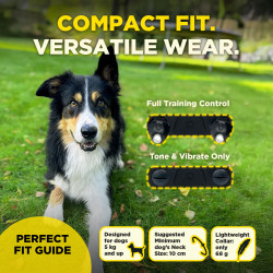 Dogtra® 600IQ - Kit 2 perros