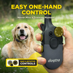 Dogtra® 600IQ - Kit 2 perros