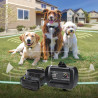 Dogtra® E-Fence 3500