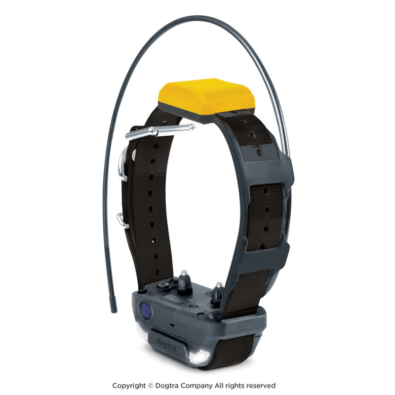 collar negro GPS Dogtra® Pathfinder2
