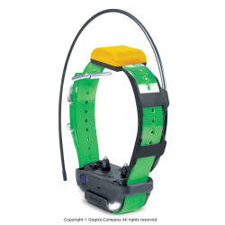 Collar verde GPS Dogtra® Pathfinder2