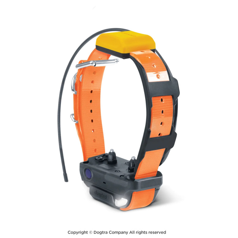 Collar naranja GPS Dogtra® Pathfinder2